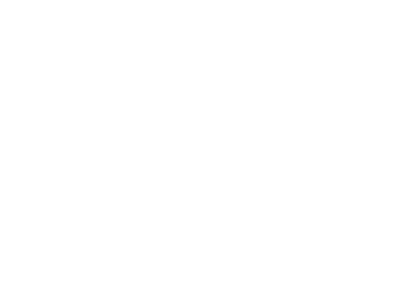EH Holdings Logo